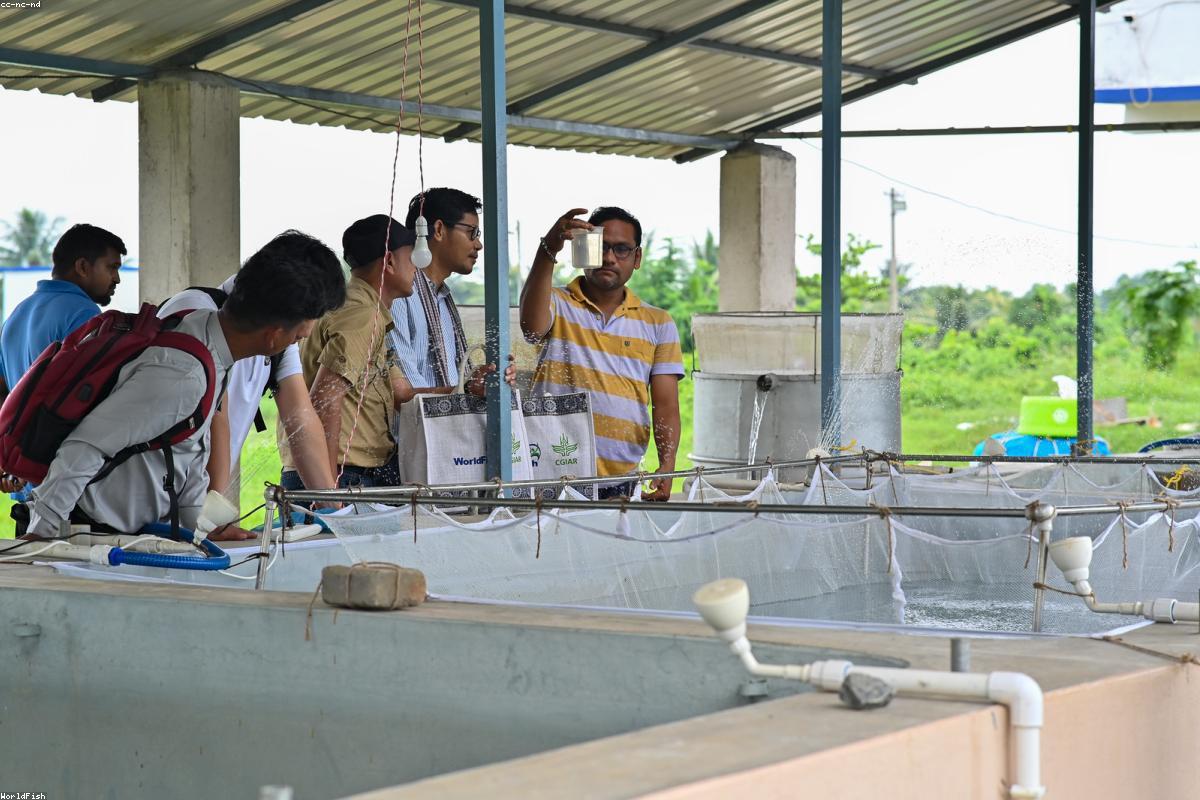 Materials & branding