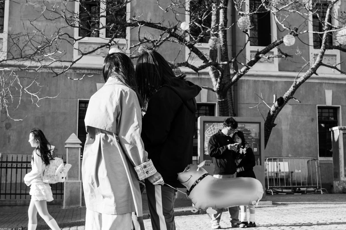 Packaging & shipping