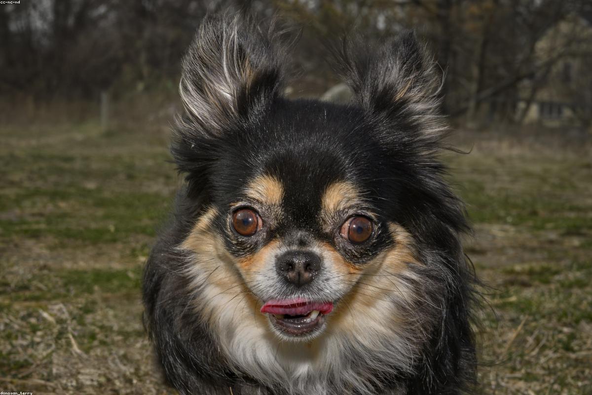 Branding & packaging